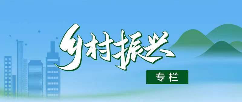 鄉(xiāng)村振興工作專欄